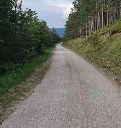 Lejlighed Ususkani Zlatibor